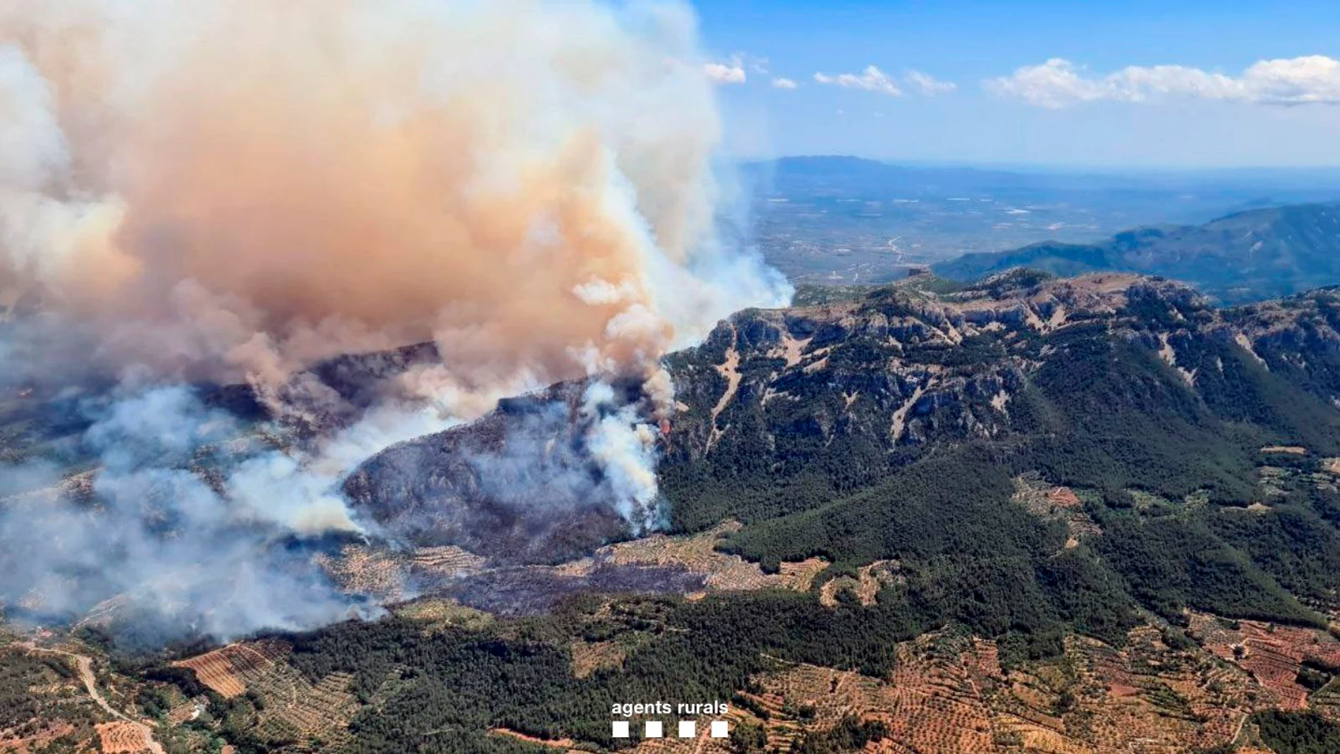 GRAFCAT191. BARCELONA, 07/07/2025.- El incendio forestal de Paüls (Tarragona) ya afecta a una superficie de unas 150 hectáreas, el 80 % dentro del Parque Natural de Els Ports, según datos provisionales de los Agentes Rurales, y a causa del fuego, la carretera TV-3541 entre Paüls y Xerta, está cortada en ambos sentidos. EFE/Agents Rurals ***SÓLO USO EDITORIAL/SOLO USO PERMITIDO PARA ILUSTRAR LA NOTICIA QUE APARECE EN EL PIE DE FOTO*** (CRÉDITO OBLIGATORIO)
