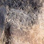 No es la cueva de Altamira, está en Guadalajara y alberga unas de las pinturas rupestres más antiguas de la Península