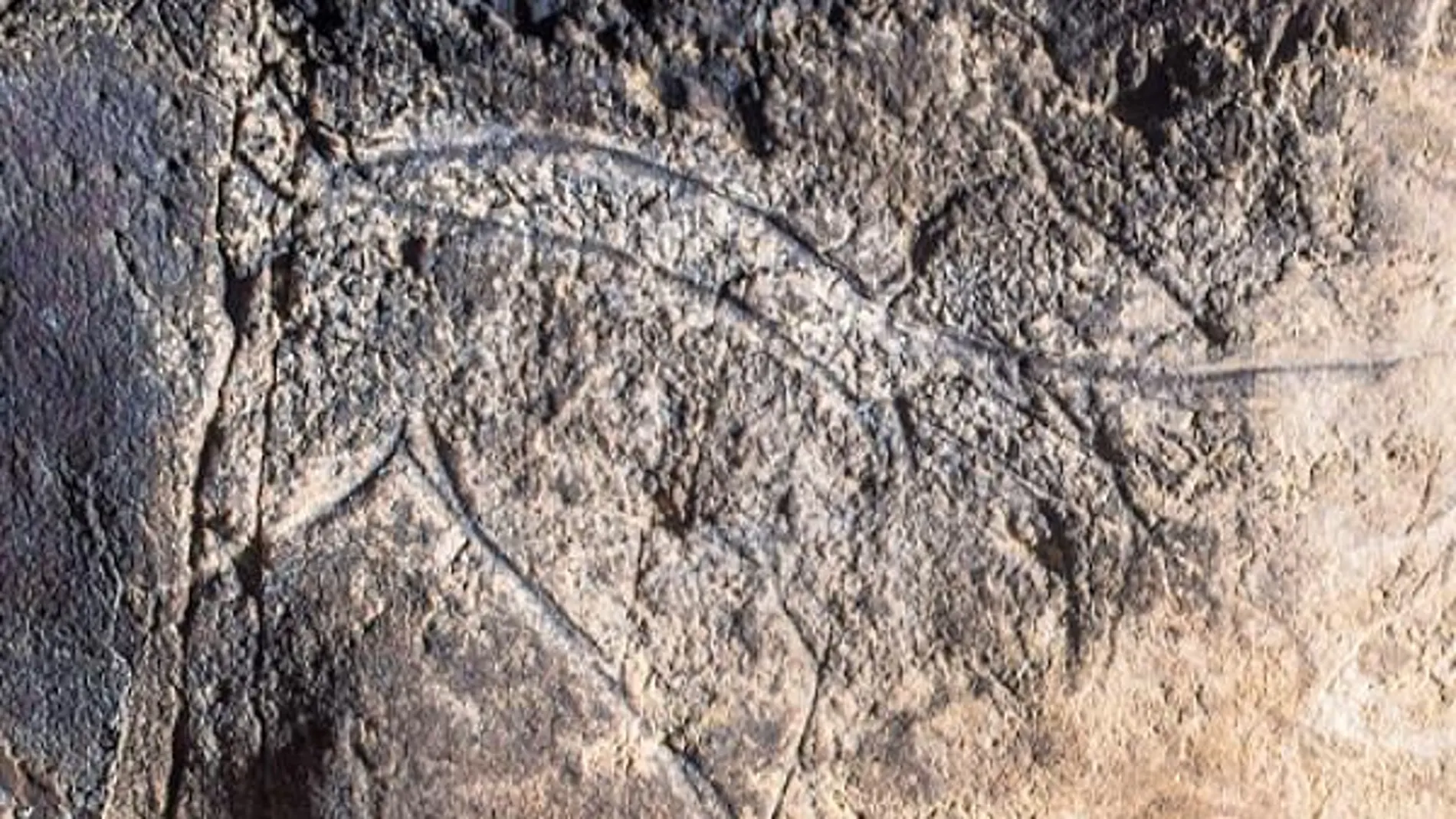 No es la cueva de Altamira, está en Guadalajara y alberga unas de las pinturas rupestres más antiguas de la Península
