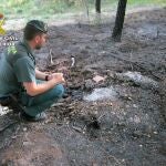 Sucesos.- Investigan a un vecino de Moratalla (Murcia) por un incendio que calcinó casi un millar de m2 de masa forestal