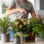 Esta es la mejor hora para regar las plantas: hará que florezcan y se mantengan verdes