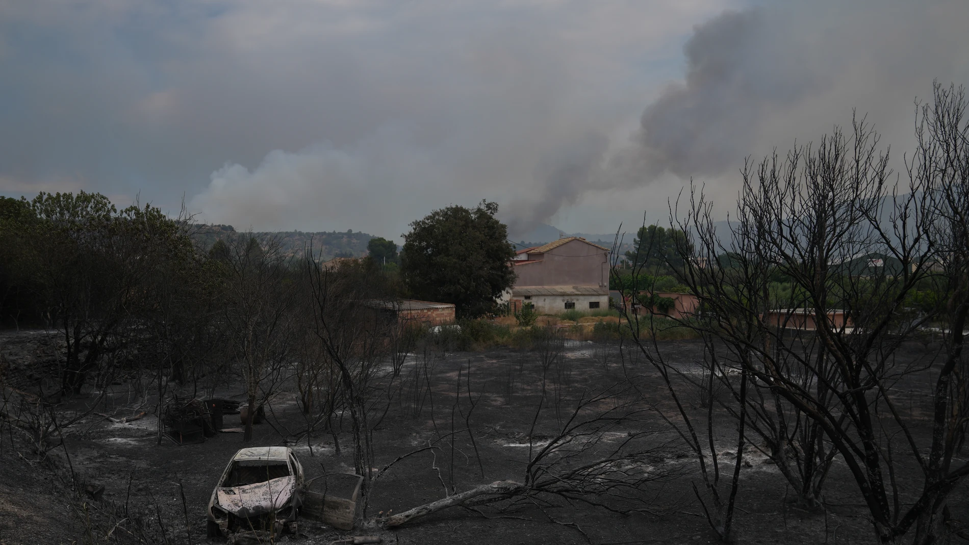 Un vehículo calcinado por el incendio de Paüls, a 8 de julio de 2025, en Aldover, Tarragona, Cataluña (España). El incendio está activo y fuera de control, con rachas de viento de hasta 90km/h. Se calcula que más de 2.500 hectáreas están quemadas por el incendio en Paüls, que ha obligado a confinar a más de 2.000 personas y que únicamente se ha levantado en el barrio de Remolins de Tortosa. 08 JULIO 2025;INCENDIO;TARRAGONA;FUEGO;CONFINADOS David Zorrakino / Europa Press 08/07/2025