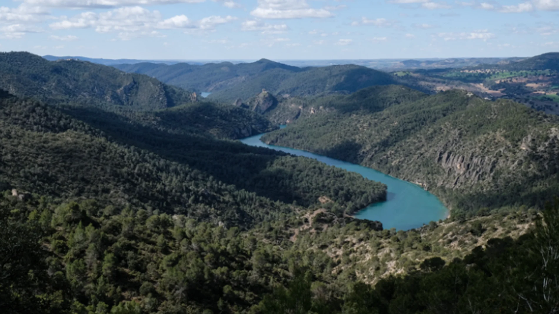 Una isla, un rinoceronte y aguas turquesas: el insólito paraíso escondido en Castilla-La Mancha