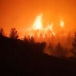Incendio en las inmediaciones de Narbona