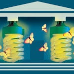 La atracción de talento a las universidades