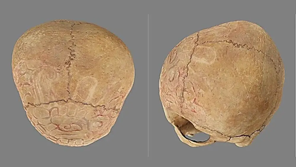 Vista superior y del parietal izquierdo de uno de los cráneos