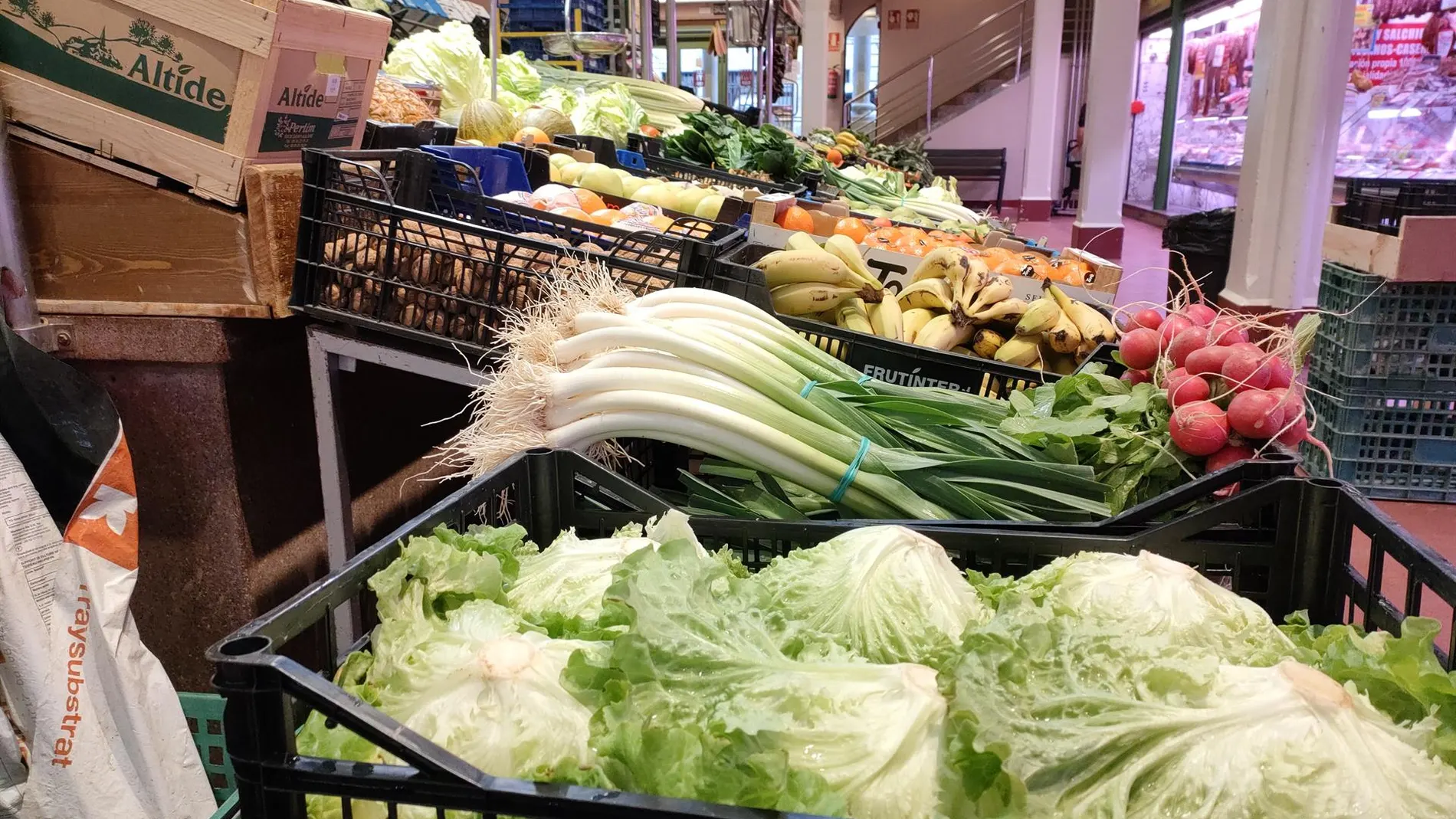 Economía.- El sector agroalimentario español eleva su valor añadido un 3,9% en 2024, hasta los 125.160 millones