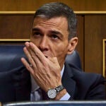 Comparecencia, a petición propia, del Presidente del Gobierno Pedro Sánchez ante el Pleno del Congreso de los 