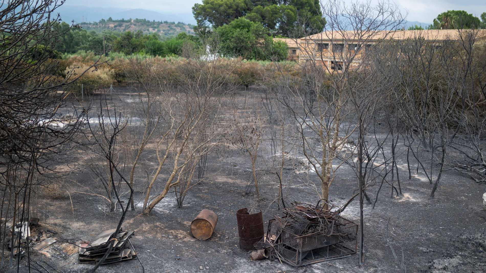 Una zona afectada por el incendio, a 9 de julio de 2025, en Xerta, Tarragona, Catalunya (España). Los Bombers de la Generalitat han logrado estabilizar el incendio de Paüls (Tarragona), que se inició el pasado lunes, 7 de julio, a mediodía y ya ha quemado 3.321 hectáreas, pero de momento mantendrán un confinamiento "flexible" de la población por motivos de seguridad, ya que su carretera es un punto elevado de medios de extinción. 09 JULIO 2025;BOMBEROS;INCENDIO;CONFINAMIENTO;EXTINCIÓN Loren...