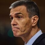 Comparecencia de Pedro Sánchez en el Congreso