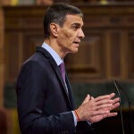 Comparecencia, a petición propia, del Presidente del Gobierno Pedro Sánchez ante el Pleno del Congreso de los 