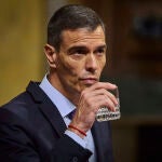 Comparecencia, a petición propia, del Presidente del Gobierno Pedro Sánchez ante el Pleno del Congreso de los 
