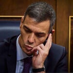 Comparecencia, a petición propia, del Presidente del Gobierno Pedro Sánchez ante el Pleno del Congreso de los 