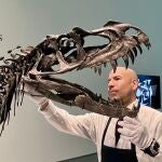Sotheby's presenta en Nueva York la estrella de su nueva subasta, un ´dinosaurio bebé´