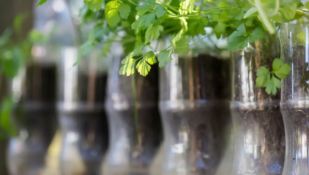 Botellas invertidas