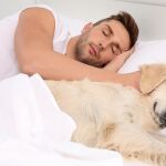 La ciencia lo confirma: dormir con tu perro baja el cortisol y aumenta la oxitocina