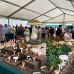 Arranca el Mycological Summer Tour de Montes de Soria 
