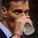 Comparecencia, a petición propia, del Presidente del Gobierno Pedro Sánchez ante el Pleno del Congreso de los 