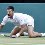 Djokovic estuvo cerca de hacerse daño en el último juego del partido