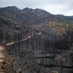Los Bombers de la Generalitat estabilizan el incendio de Paüls (Tarragona)
