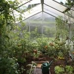 Lo tiras (casi) todos los días y podría mejorar el crecimiento de tus plantas