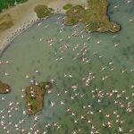 Unesco urge a España tome medidas para que el acuífero de Doñana no entre en la Lista del Patrimonio en Peligro