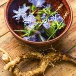 La planta que usaban los romanos para reducir la temperatura corporal y mejorar la digestión en verano