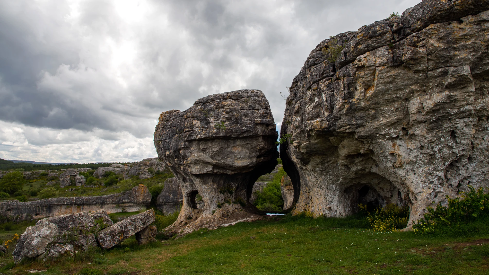 Monumento Natural de las Tuerces
