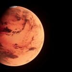 El hongo que crece en Chernóbil y podría ayudarnos a sobrevivir en Marte, según National Geographic