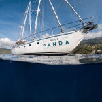 Barco "Blue Panda"