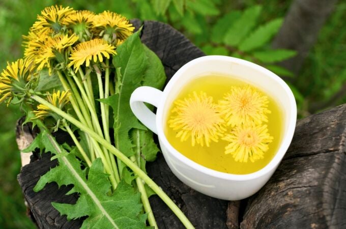 Infusión de tusilago