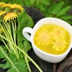 Infusión de tusilago