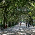 Así es uno de los parques más famosos de Galicia
