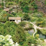 Un paseo por la jungla mágica de España: cinco continentes en un solo jardín 