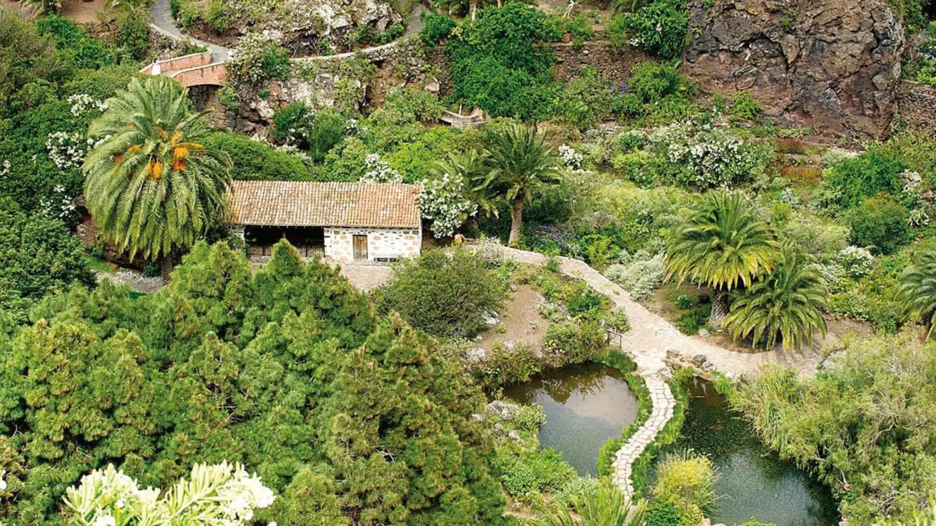 Jardín Botánico Viera y Clavijo, Gran Canaria