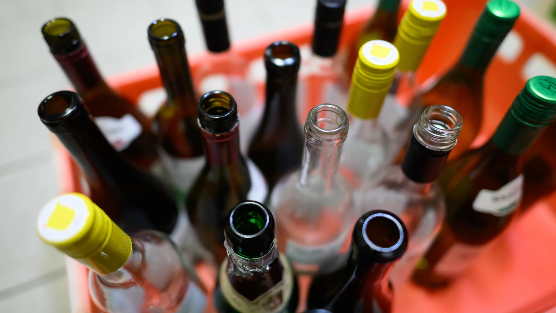 (Foto de ARCHIVO) PRODUCTION - 20 January 2025, Saxony, Dresden: Empty bottles of wine and champagne in a crate. Photo: Robert Michael/dpa 20/01/2025 ONLY FOR USE IN SPAIN