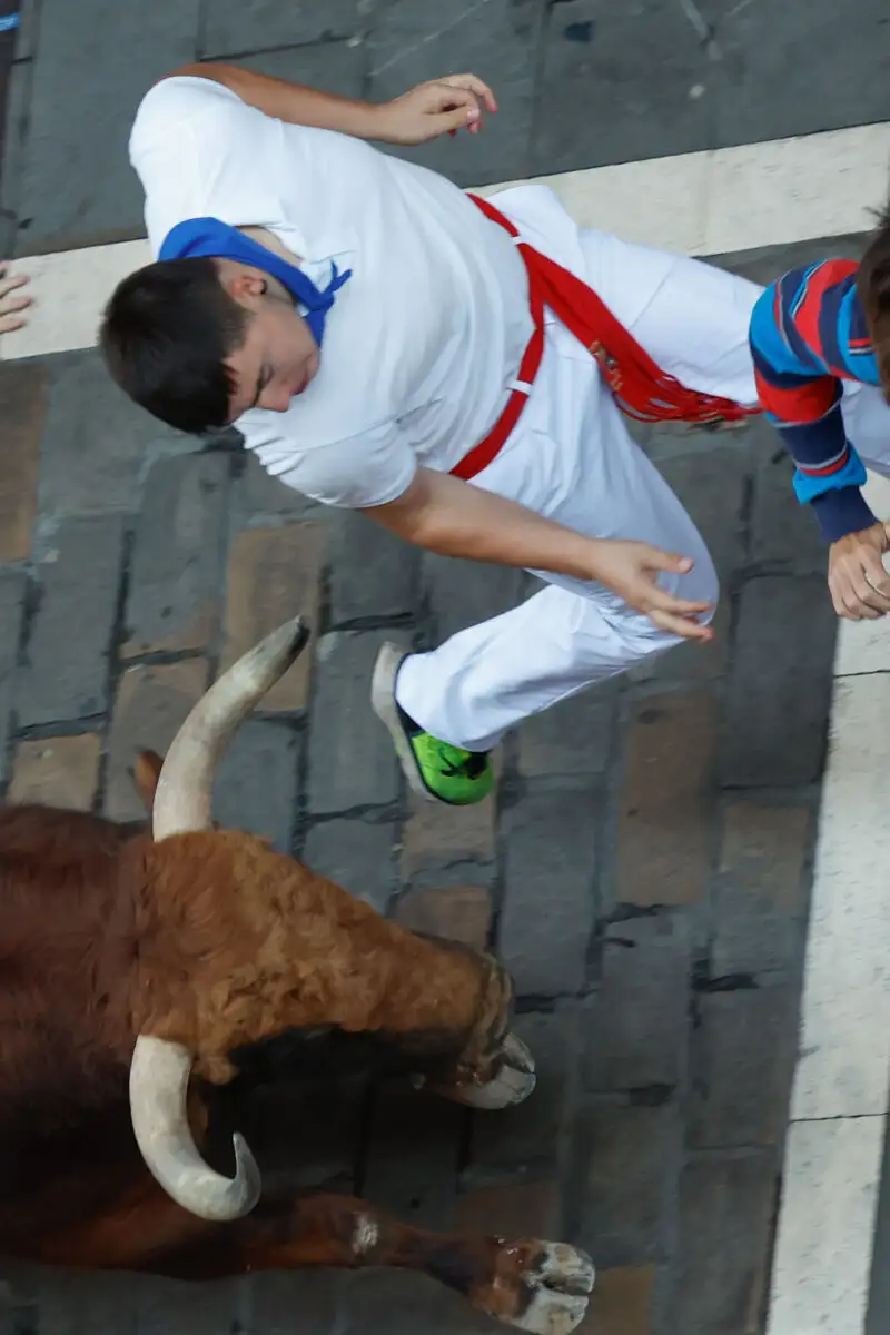 Los rápidos y peligrosos toros de Jandilla, protagonistas del quinto encierro de los Sanfermines