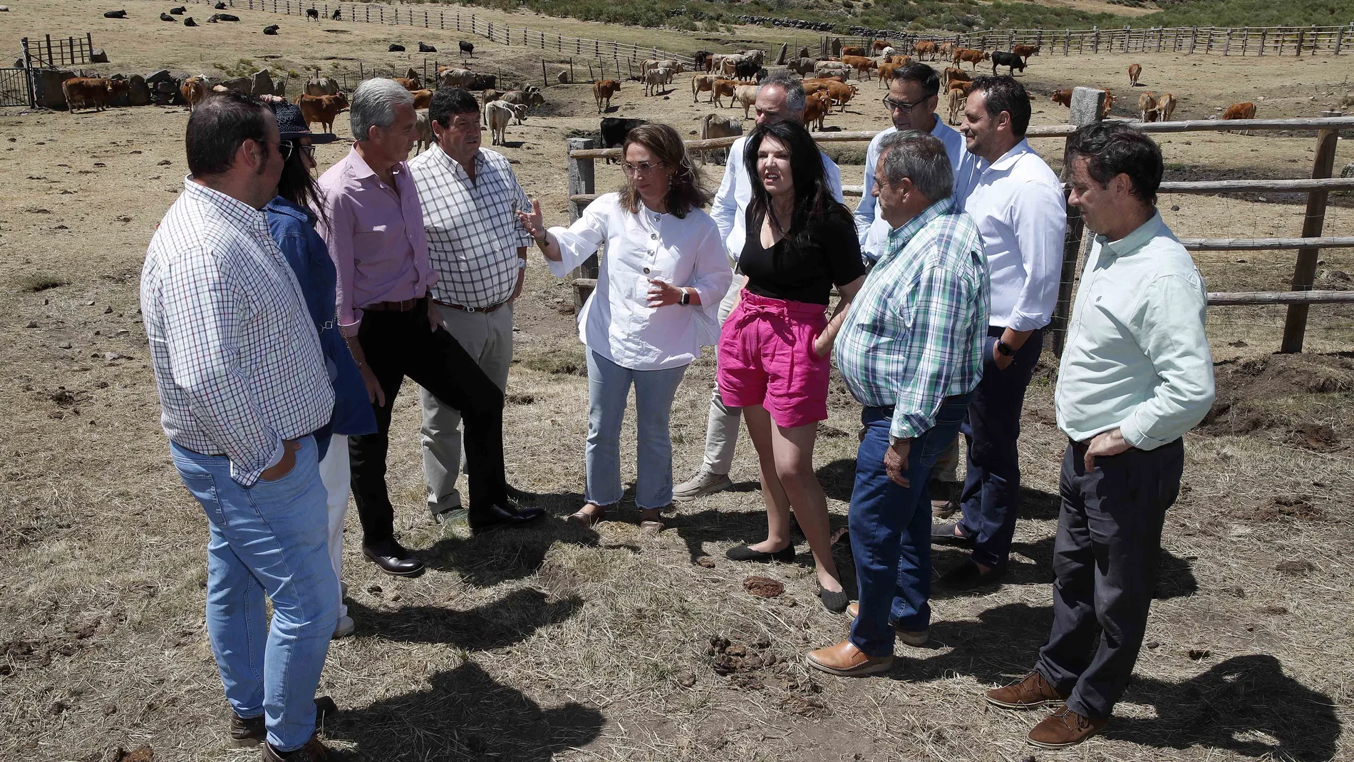 González Corral visita una explotación ganadera en Hoyos del Espino (Ávila)