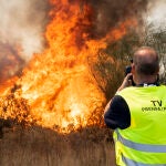Trabajan en la extinción de un incendio la zona de La Rábida, en Palos (Huelva)