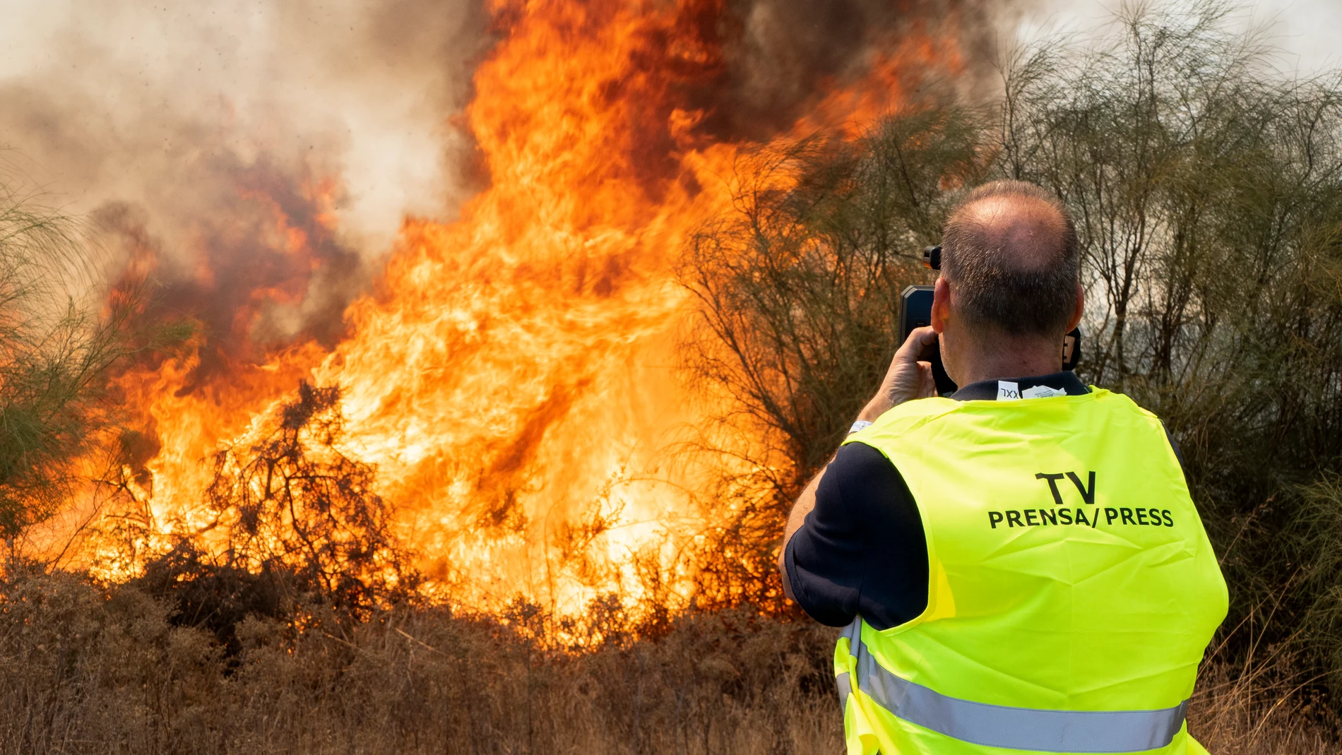 LA RÁBIDA (HUELVA), 13/07/2025.- Efectivos del Plan Infoca y del Consorcio Provincial de Bomberos de Huelva están trabajando en la extinción de un incendio que se ha originado en un descampado próximo al polígono industrial de La Rábida (Huelva). Según han informado desde el Infoca, sus tareas se centran en evitar que el incendio pase a forestal, para lo que han movilizado un helicóptero semipesado, dos grupos de bomberos forestales, un agente de Medio Ambiente y un vehículo autobomba.-EFE/ D...