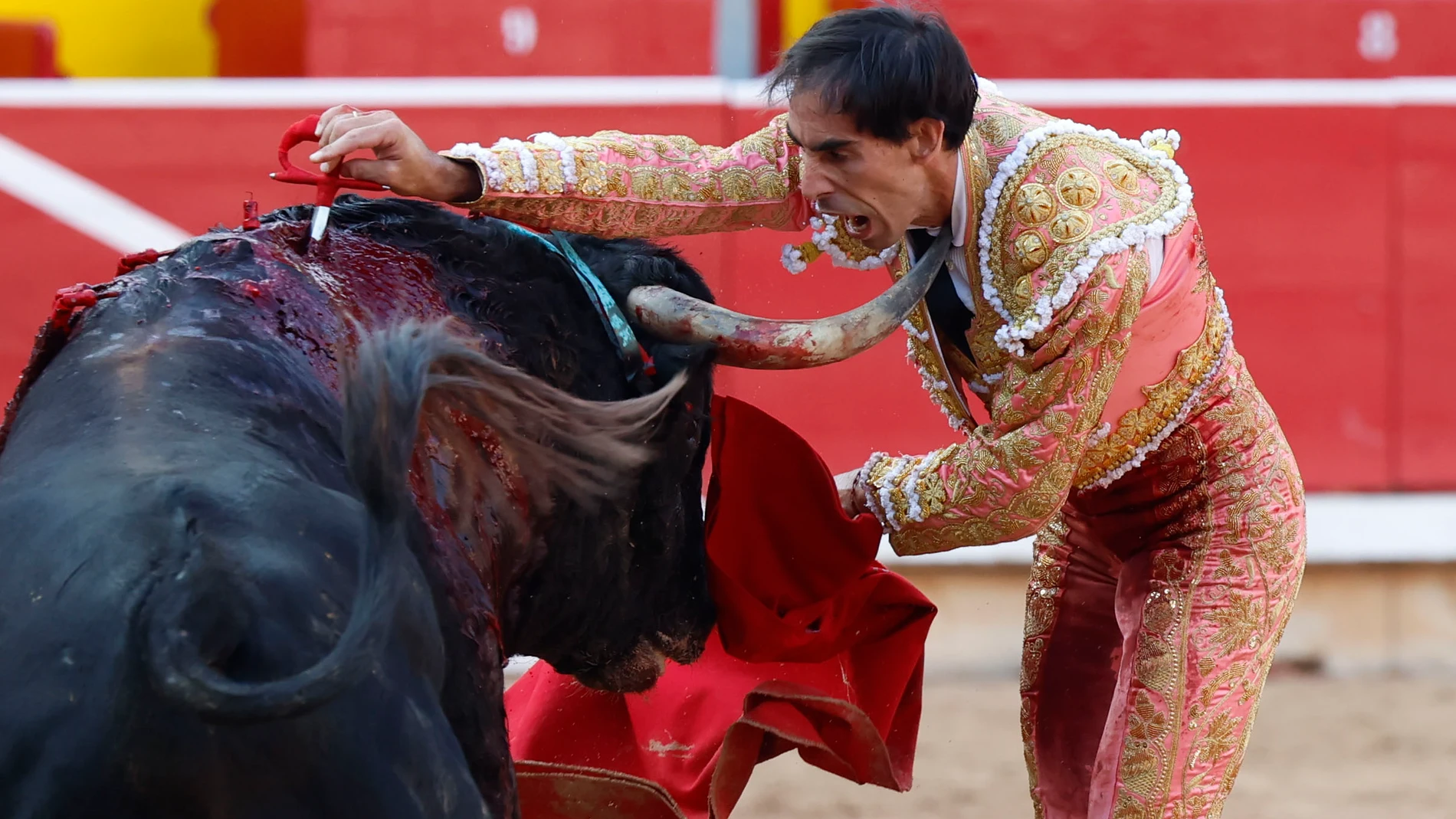 GRAFCAV506. PAMPLONA, 13/07/2025.- El torero Jiménez Fortes entra a matar a su segundo toro de la tarde en la novena de abono de la Feria de Toro de los Sanfermines 2025 con toros de la ganadería gaditana La Palmosilla y en la que comparte cartel con los diestros Fernando Adrián y Ginés Marín. EFE/Jesús Diges