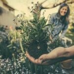 El truco que usan los jardineros expertos y que probablemente estás tirando a la basura cada mañana