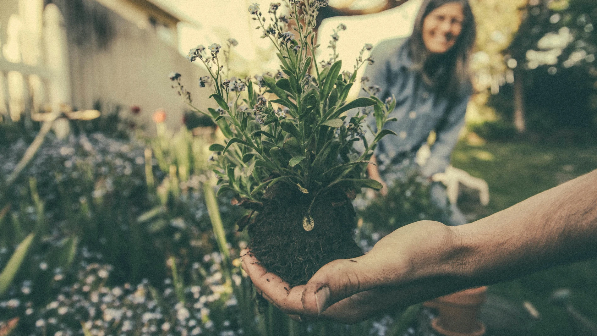 El truco que usan los jardineros expertos y que probablemente estás tirando a la basura cada mañana