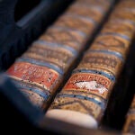 Hungary Medieval Library Infestation
