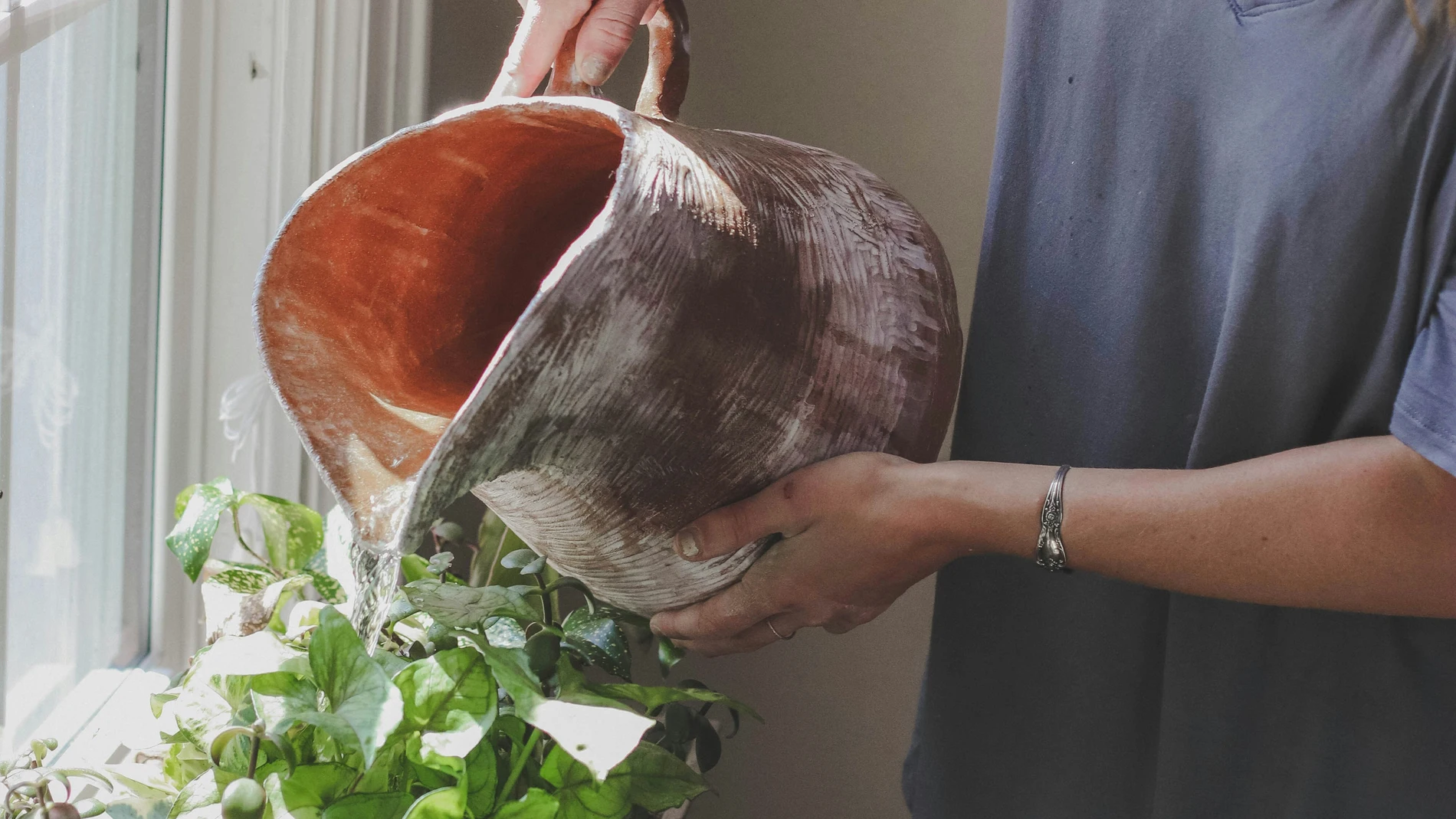 Cuál es la mejor hora para regar la plantas y por qué no es por la noche