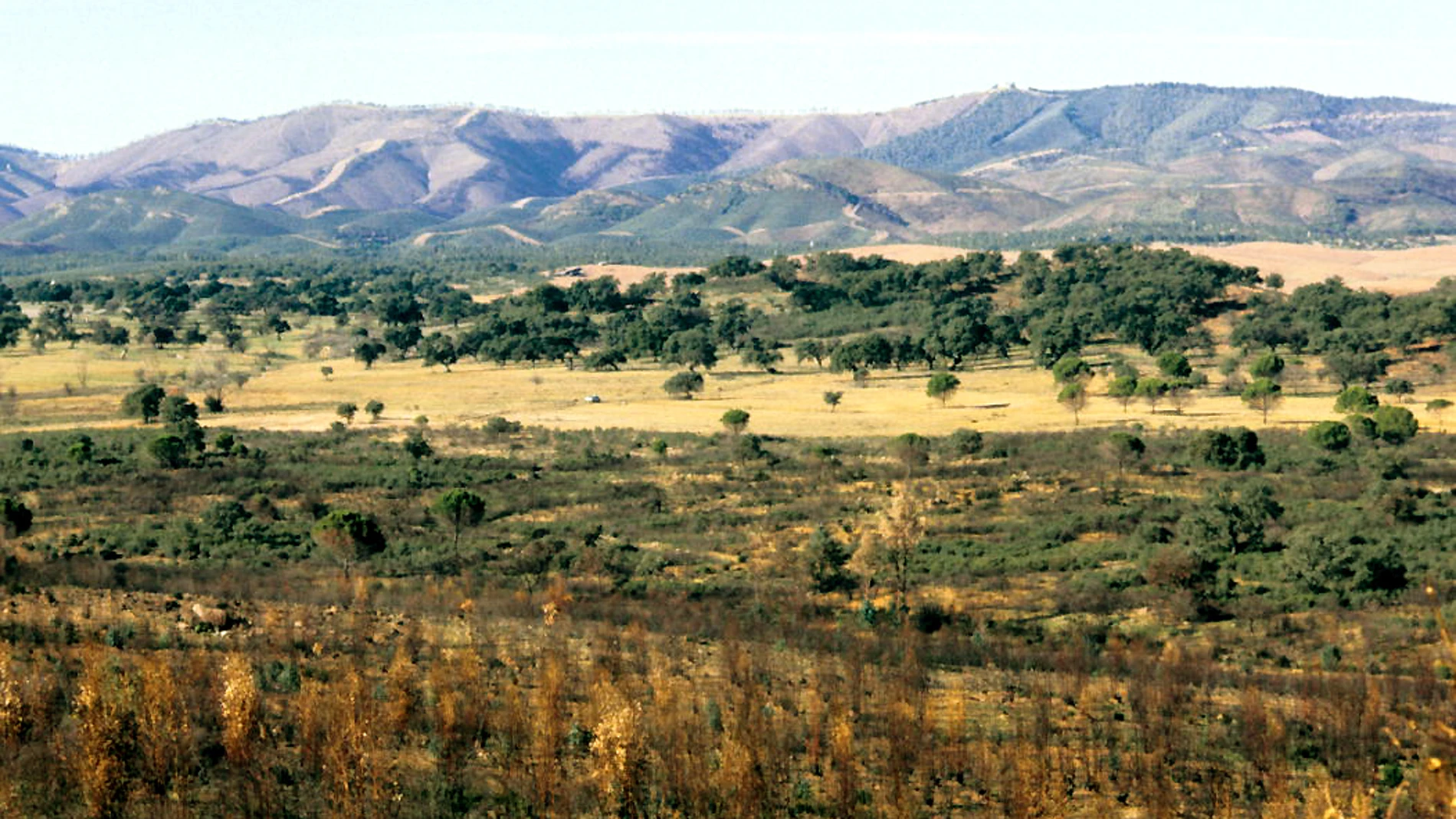 Andévalo