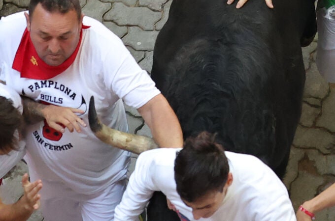 Los toros de La Palmosilla protagonizan este domingo el séptimo encierro de San Fermín