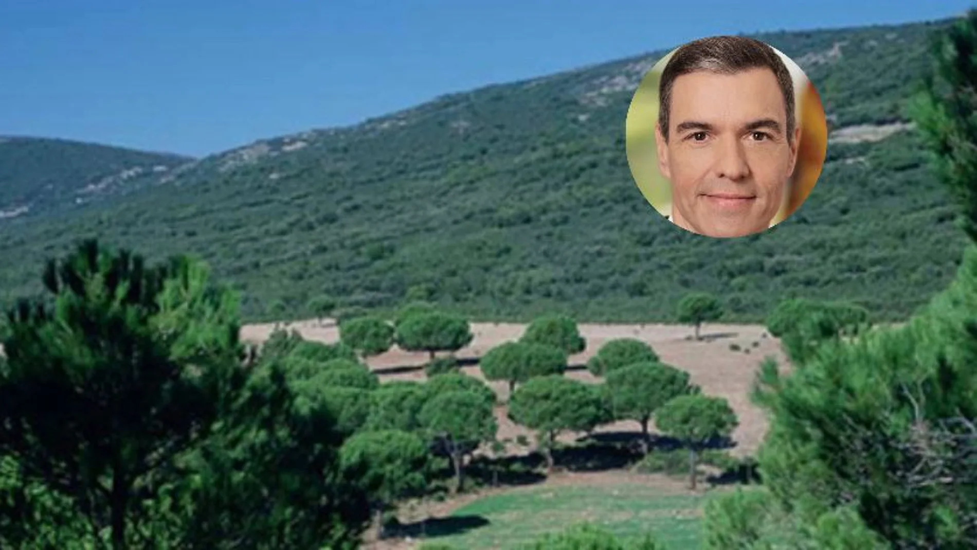 Fotomontaje de la finca Quintos de Mora y una foto del presidente del Gobierno, Pedro Sánchez.
