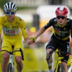 APTOPIX Cycling Tour de France