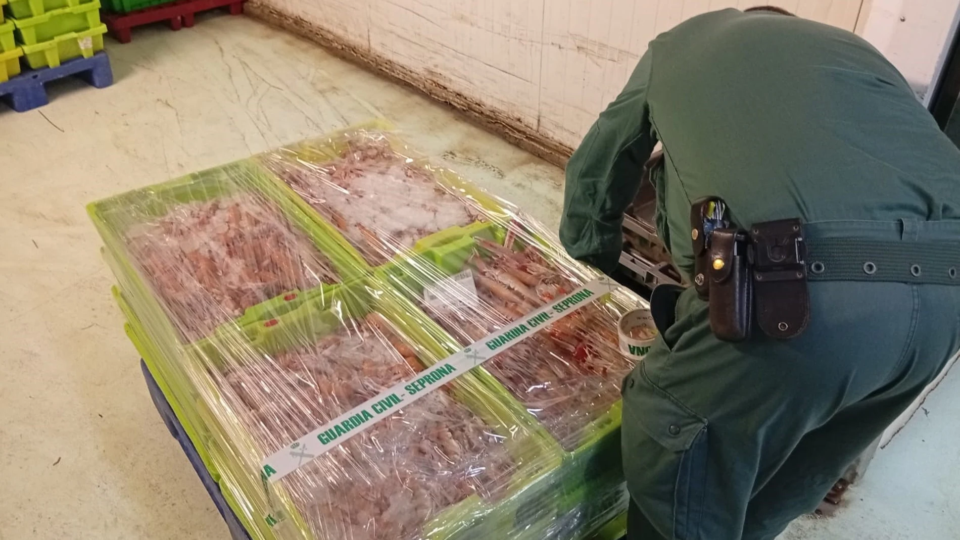 Interceptados más de 280 kilos de cigalas sin documentación en una furgoneta que viajaba hasta A Coruña desde Cantabria. REMITIDA / HANDOUT por Guardia Civil Fotografía remitida a medios de comunicación exclusivamente para ilustrar la noticia a la que hace referencia la imagen, y citando la procedencia de la imagen en la firma 14/07/2025